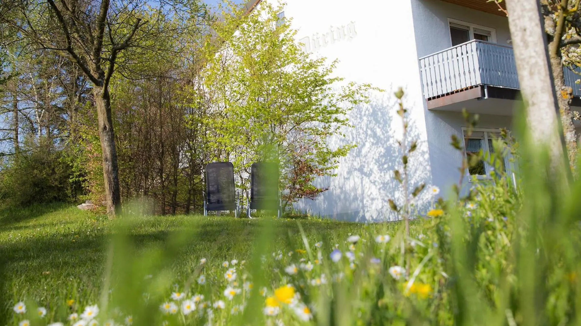 Ferienwohnung Winzerhof Düring Iphofen Apartment